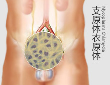 上饶中山男科医院