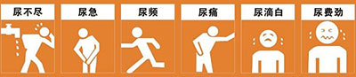 上饶急性前列腺炎用药有何要点